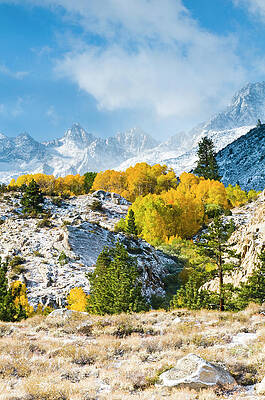 Wall Art - Photograph - Fall Aspen And First Snows Of Winter by Josh Miller