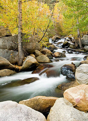 Wall Art - Photograph - Fall Aspen And Flowing Water by Josh Miller