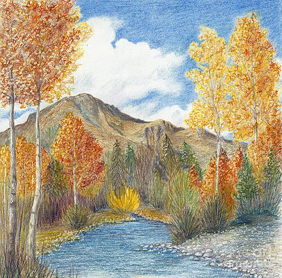 Wall Art - Painting - Fall Aspens by Phyllis Howard