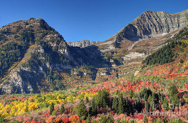 Wall Art - Photograph - Fall at Mt. Timpanogos from Sundance - Utah  by Gary Whitton