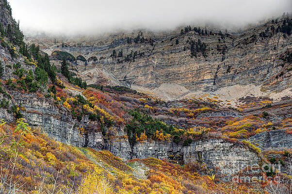 Wall Art - Photograph - Fall at Mt. Timpanogos - Utah by Gary Whitton