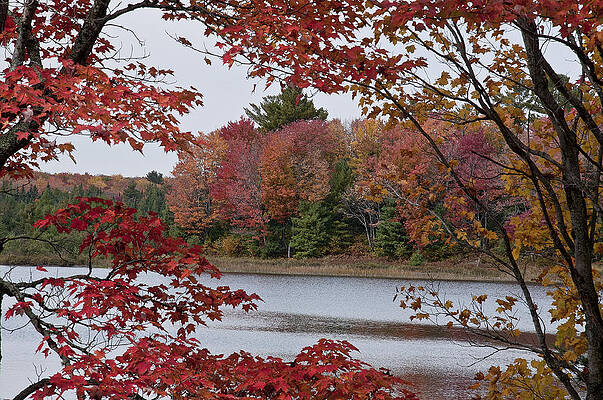 Fall Color by Russell Todd Fall Color by Russell Todd