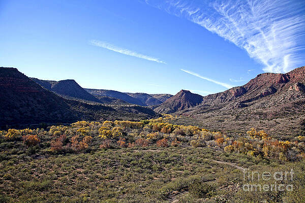 Wall Art - Photograph - Fall Colors in the Verde Canyon along the Verde River in Arizona by Ron Chilston