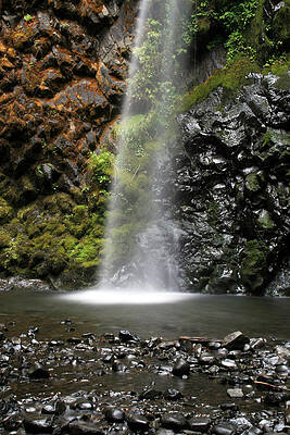 Fall Creek Falls Oregon by Jennette Maintzer