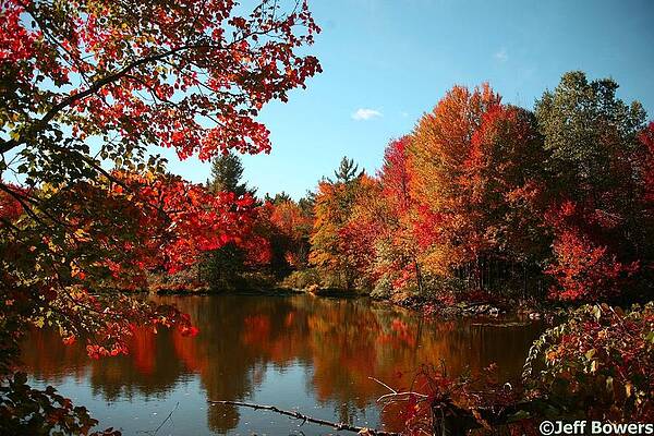 Fall by Jeff Bowers