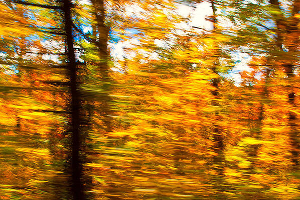 Wall Art - Photograph - Fall Motion by Michael Hubley
