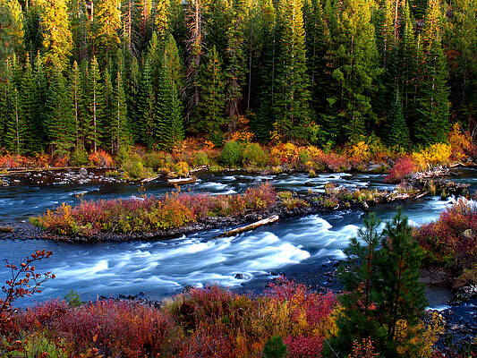 Fall Colors on the Deschutes River Near Mount Bachelor by Kevin Desrosiers Fall Colors on the Deschutes River Near Mount Bachelor by Kevin Desrosiers