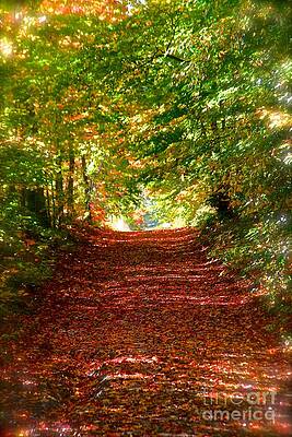 Fall Passage by David Hubbs Fall Passage by David Hubbs