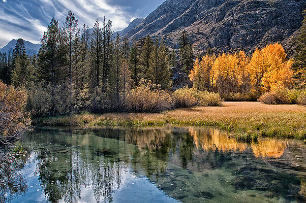 Fall Reflections by Cat Connor Fall Reflections by Cat Connor