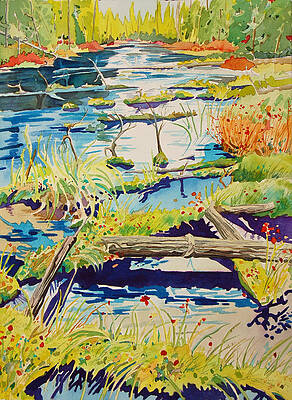 Fall River Scene by Terry Holliday Fall River Scene by Terry Holliday
