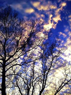 Fall Sky by Michelle Flory