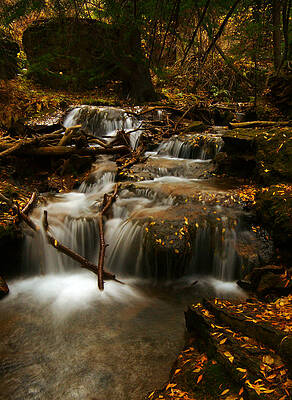 Wall Art - Photograph - Fall with Grace by Jeremy Rhoades