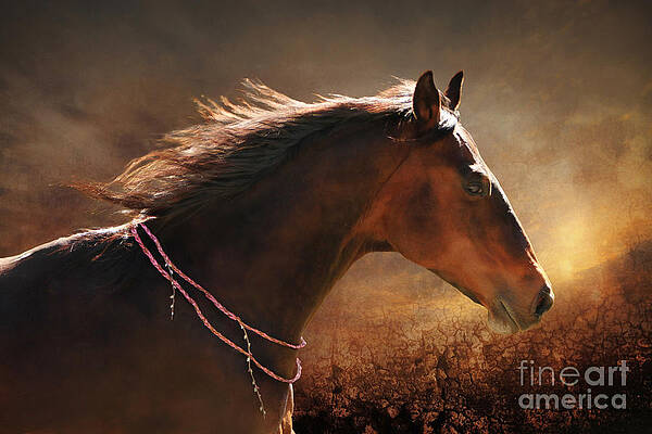 Fancy Free by Michelle Twohig Fancy Free by Michelle Twohig