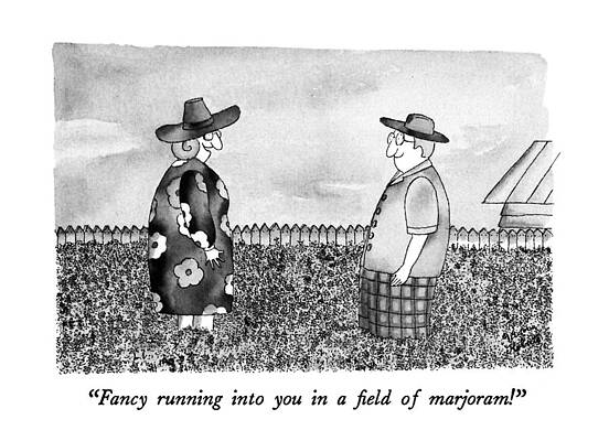 Wall Art - Drawing - Fancy Running Into You In Field Of Marjoram! by Victoria Roberts