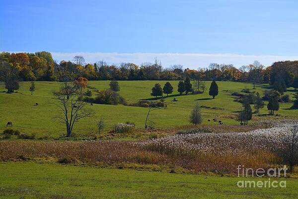 Wall Art - Photograph - Farm View Too by Tammie Miller