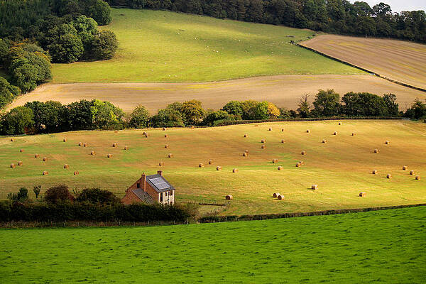 Farmhouse in English field by Sarah Broadmeadow-Thomas Farmhouse in English field by Sarah Broadmeadow-Thomas