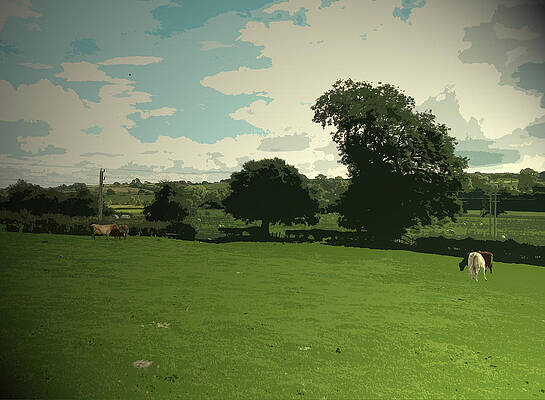 Wall Art - Drawing - Farmland Near Ashbourne, An Grassland Scene In A Square by Litz Collection