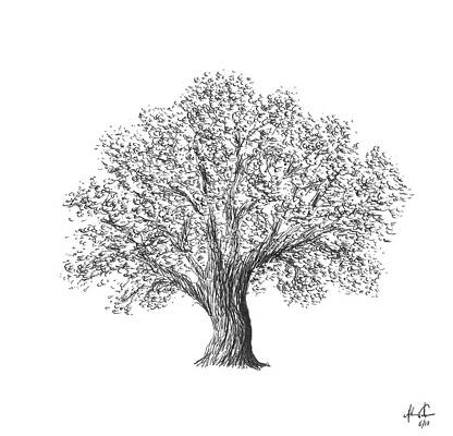 Chalk sketch maple tree Royalty Free Vector Image