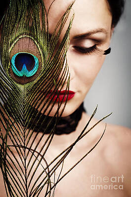 Wall Art - Photograph - Feather by Jelena Jovanovic