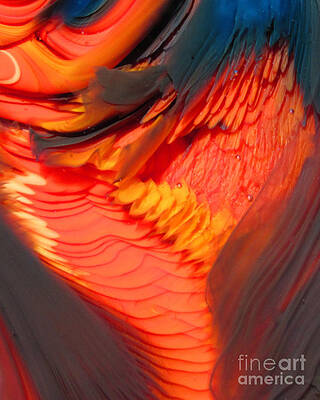 Feathers and Scales by Kimberly Lyon Feathers and Scales by Kimberly Lyon