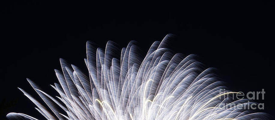 Feathers of Fire Fireworks by Robert E Alter Reflections of Infinity Feathers of Fire Fireworks by Robert E Alter Reflections of Infinity