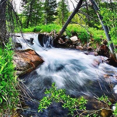 Wall Art - Photograph - Feeling That #flow #exploring #wild by Cody Haskell