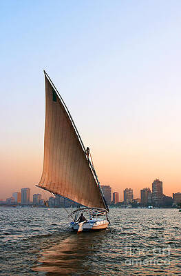 Felucca on the Nile by Paul Cowan Felucca on the Nile by Paul Cowan