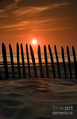 Fence at Sunset by David Lichtneker Fence at Sunset by David Lichtneker