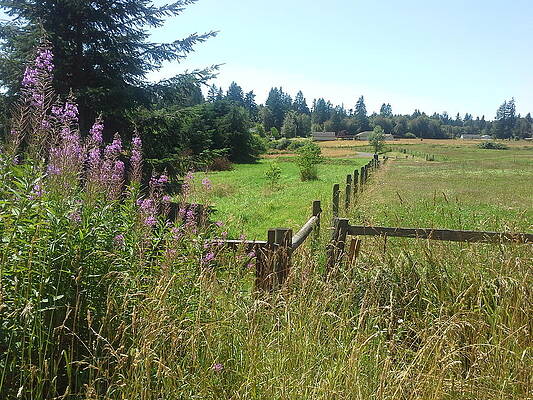 Fence Line by Steve Baldwin