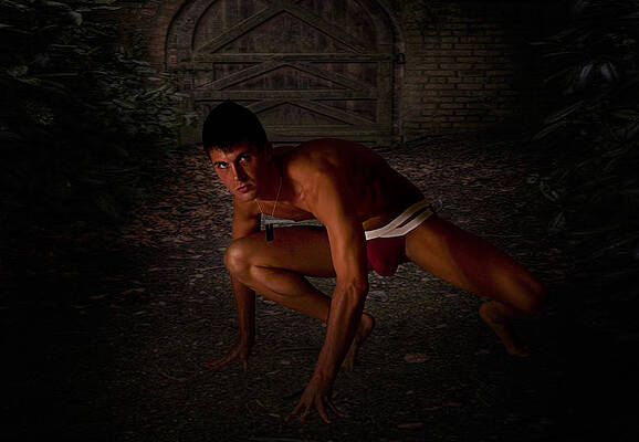 Feral by Michael Taggart Feral by Michael Taggart