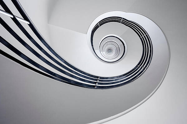 Wall Art - Photograph - Fibonacci by Max Zimmermann