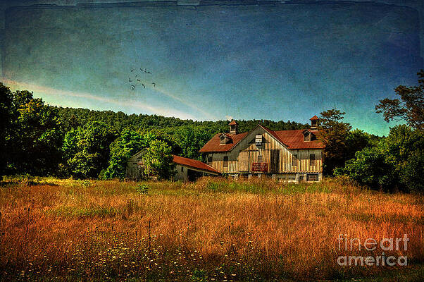 Wall Art - Photograph - Field of Broken Dreams by Lois Bryan