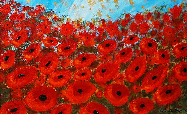 Field Of Poppies by Catherine Harms Field Of Poppies by Catherine Harms