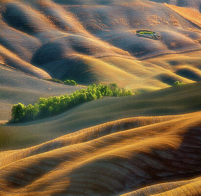 Wall Art - Photograph - Fields by Krzysztof Browko