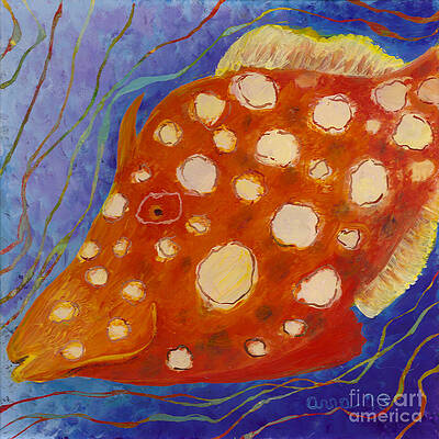 Filefish by Anna Skaradzinska Filefish by Anna Skaradzinska