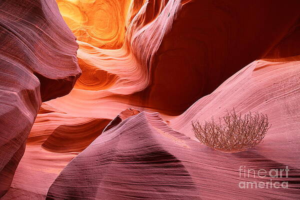 Wall Art - Photograph - Final Stop by Bill Singleton