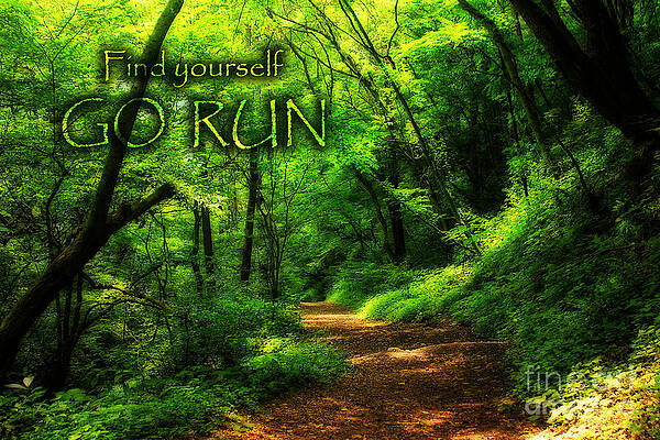 Wall Art - Photograph - Find Yourself Go Run - Magic Forest by Beverly Claire Kaiya