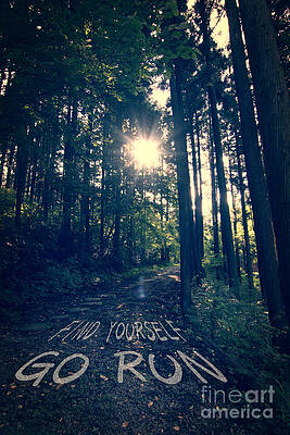 Wall Art - Photograph - Find Yourself Go Run No. 6 - Forest with Sun Flare by Beverly Claire Kaiya