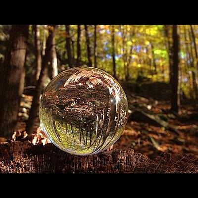 Finding A Little Magic Today During An by Craig Szymanski
