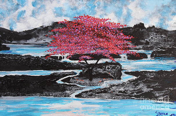 Finding Beauty In Solitude by Stefan Duncan