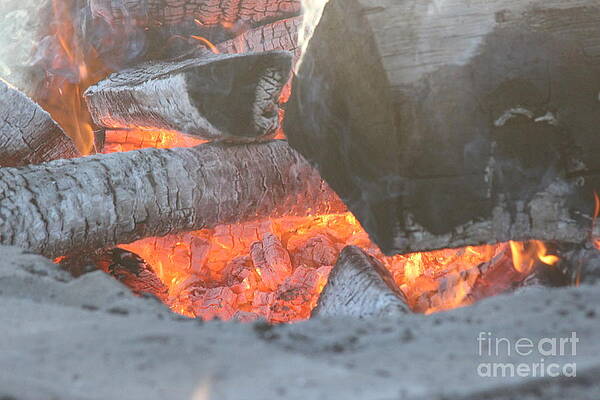 Fire On A Log by Michael Goff