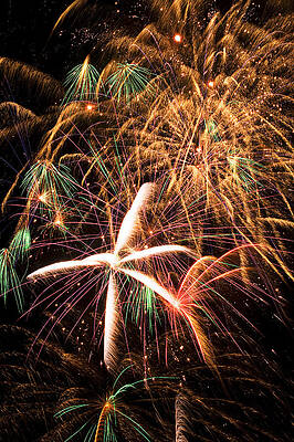 Wall Art - Photograph - Fireworks exploding everywhere by Garry Gay