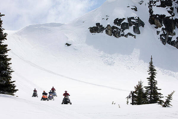 Wall Art - Photograph - Five People Snowmobiling Between Tress by Craig Pulsifer