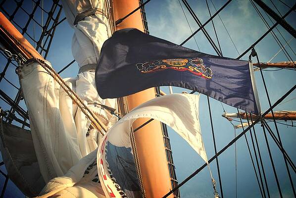 Flags and Mast by David Swift