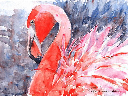 Flamingo by Claudia Hafner Flamingo by Claudia Hafner