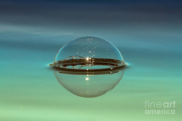 Floating Bubble by Heidi Farmer Floating Bubble by Heidi Farmer