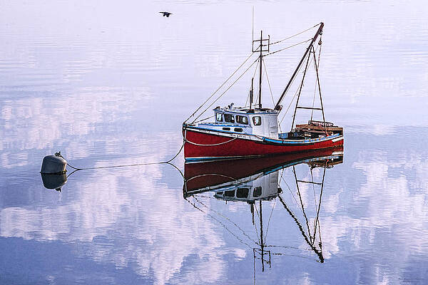 Floating on a Cloud by MARTY SACCONE Floating on a Cloud by MARTY SACCONE
