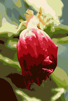 Floral Impression 2 by Stephen Prendergast