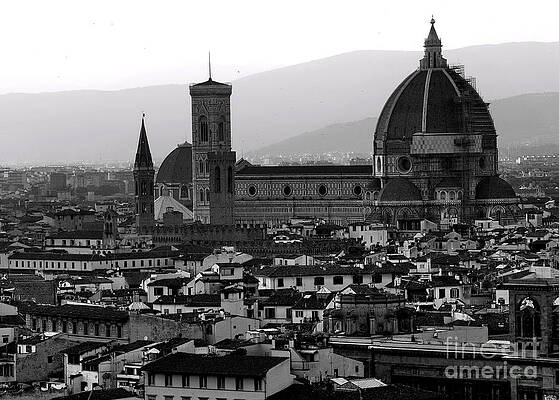 Florence Panorama Print by Jacqueline M Lewis