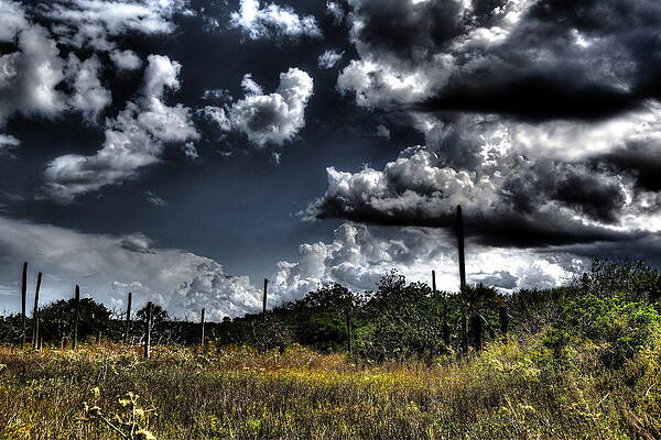 Florida Skies Prairie Strom by David  Swoyer